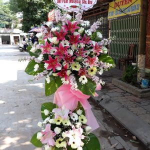 Hoa Khai Trương KT14